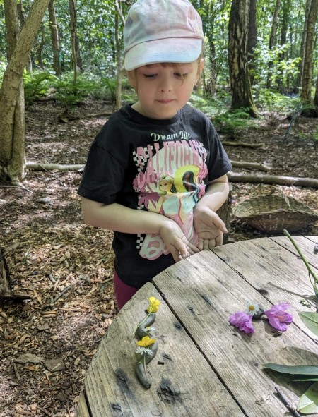 Forest Wellbeing - image 2