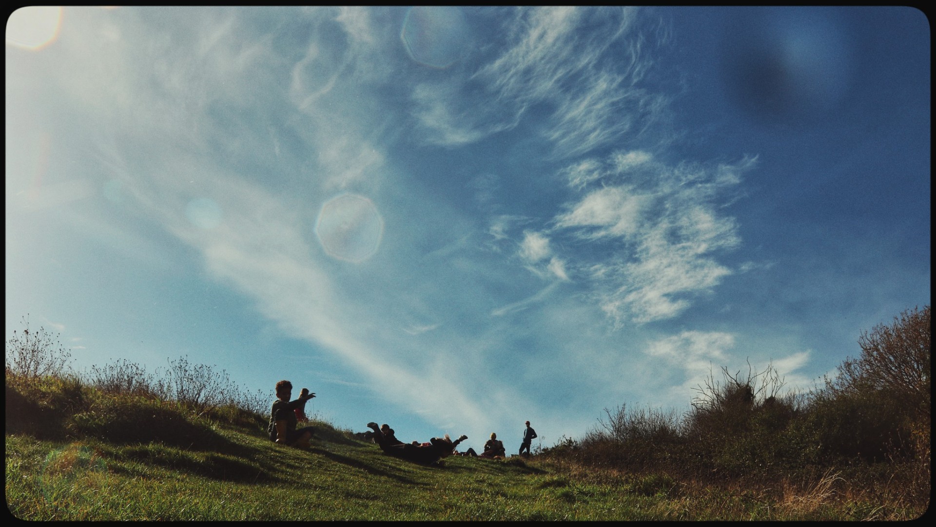 REWILD HASTINGS - EAST HILL - image 3
