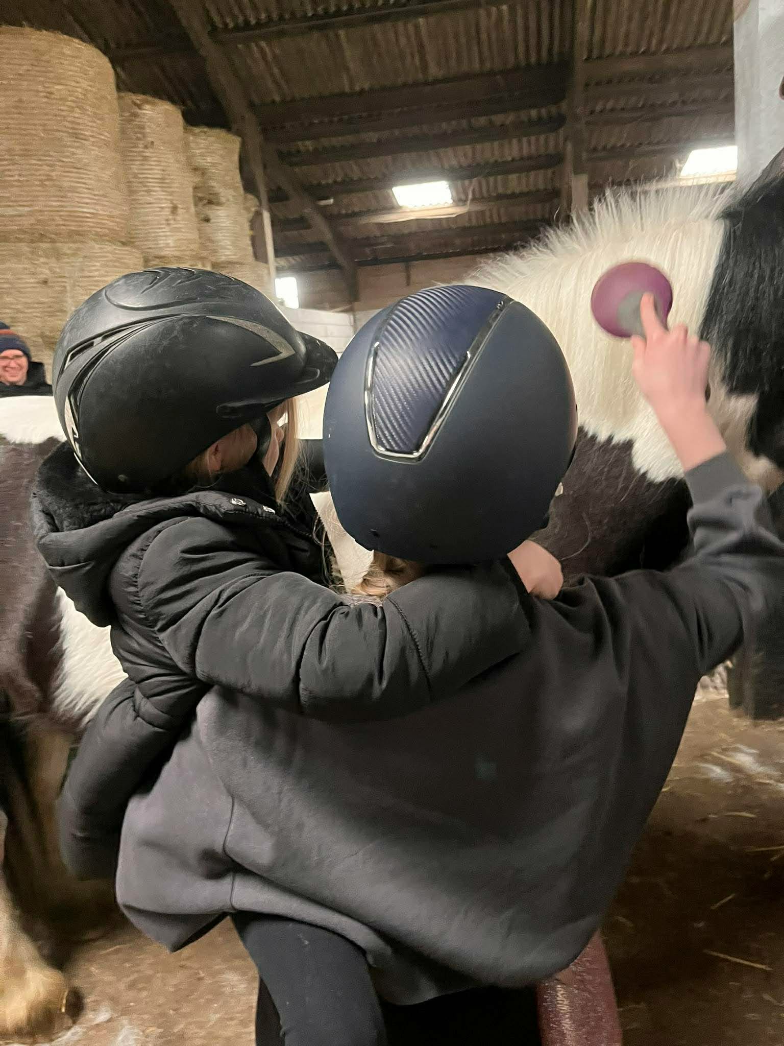 Secondary Horse & Pony Experience @HowdenEques - image 5