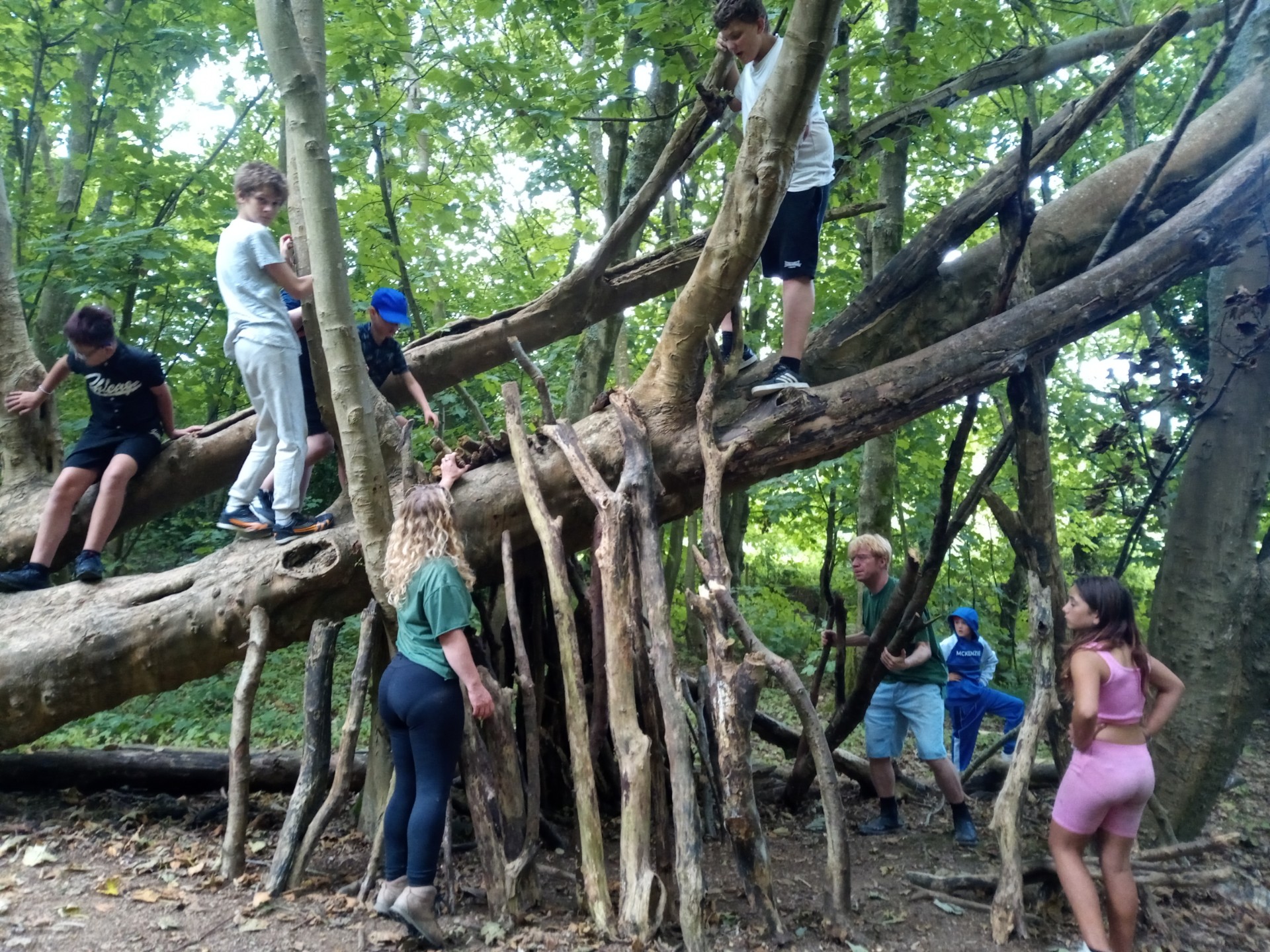 HAF@ Darch's Wood & St Bart's Heathfield block mentored by Groundwork South