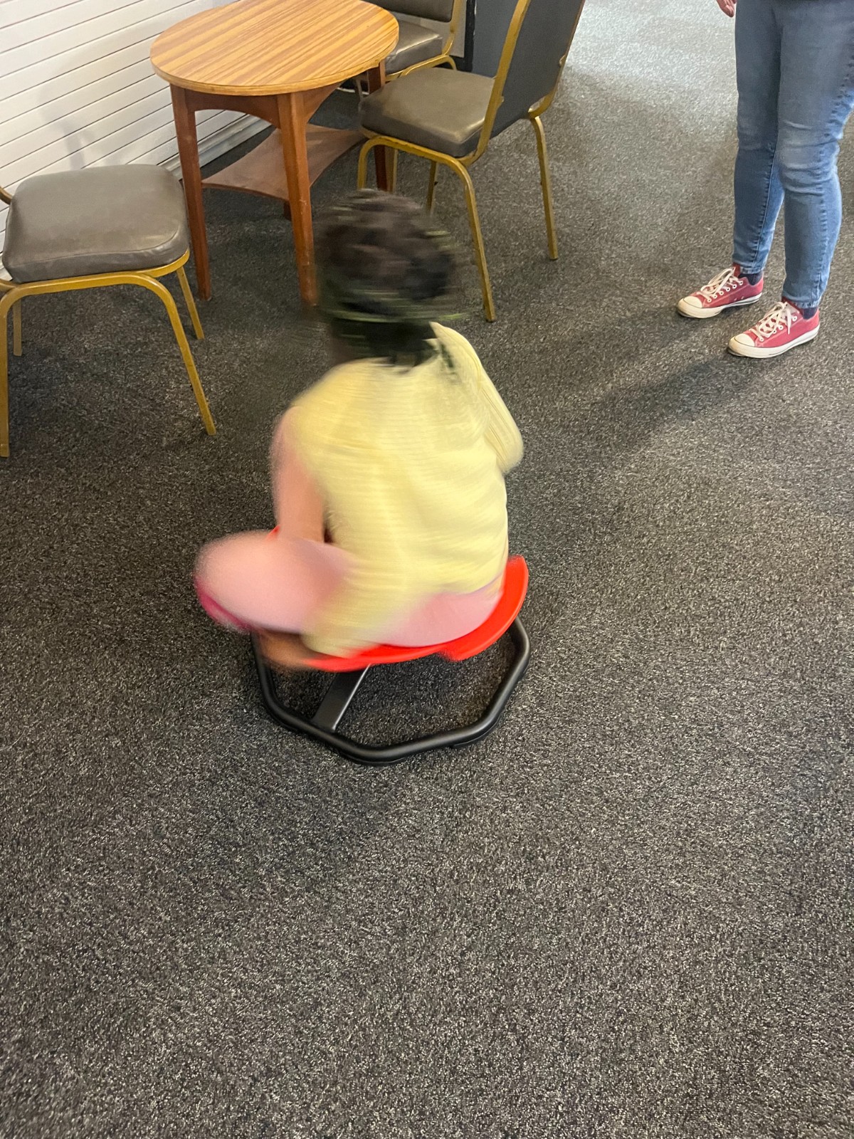 Garden Project, Inflatables...FUN! - image 14