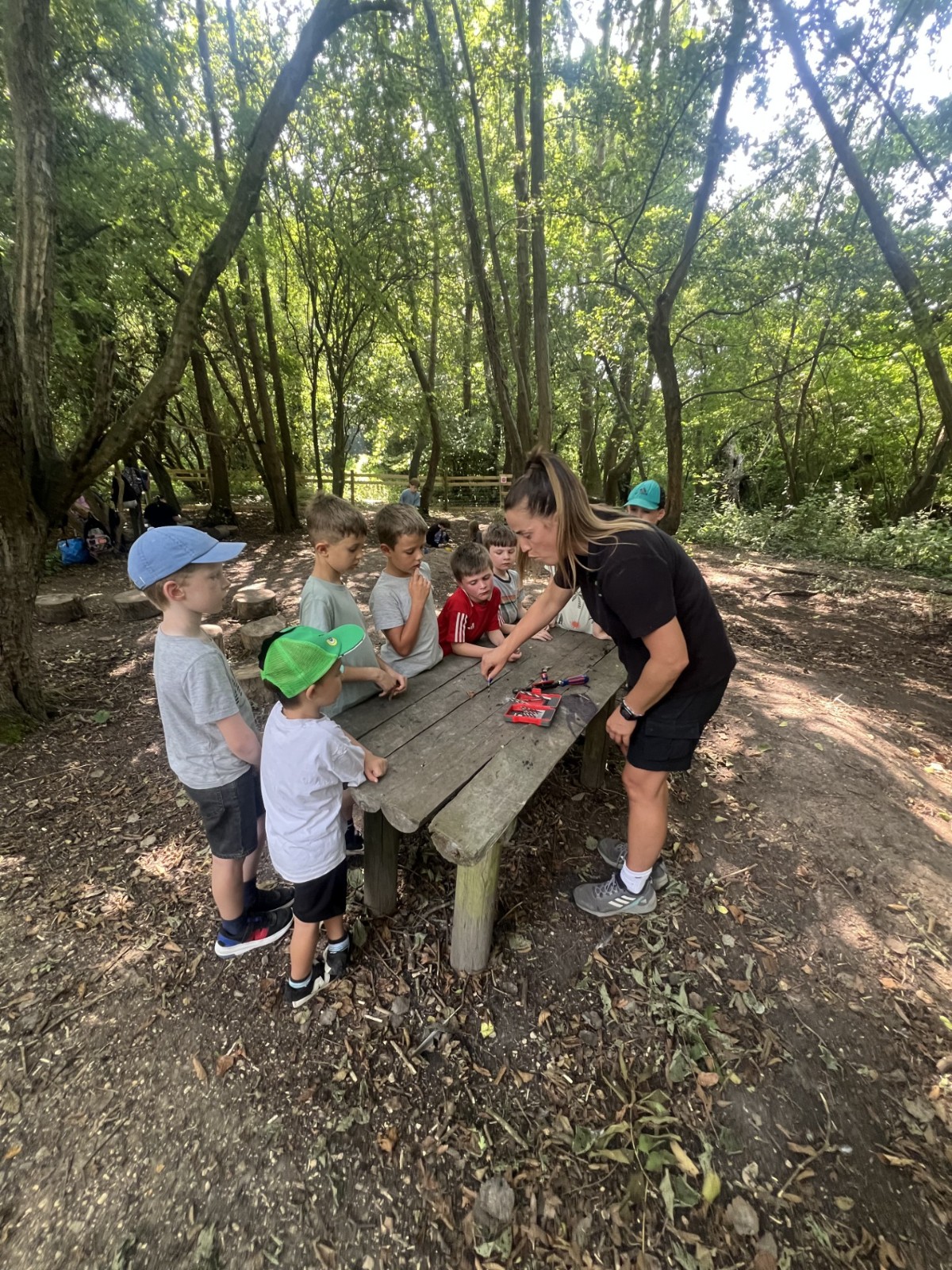 HAF Holiday Club in the Woodland - image 2