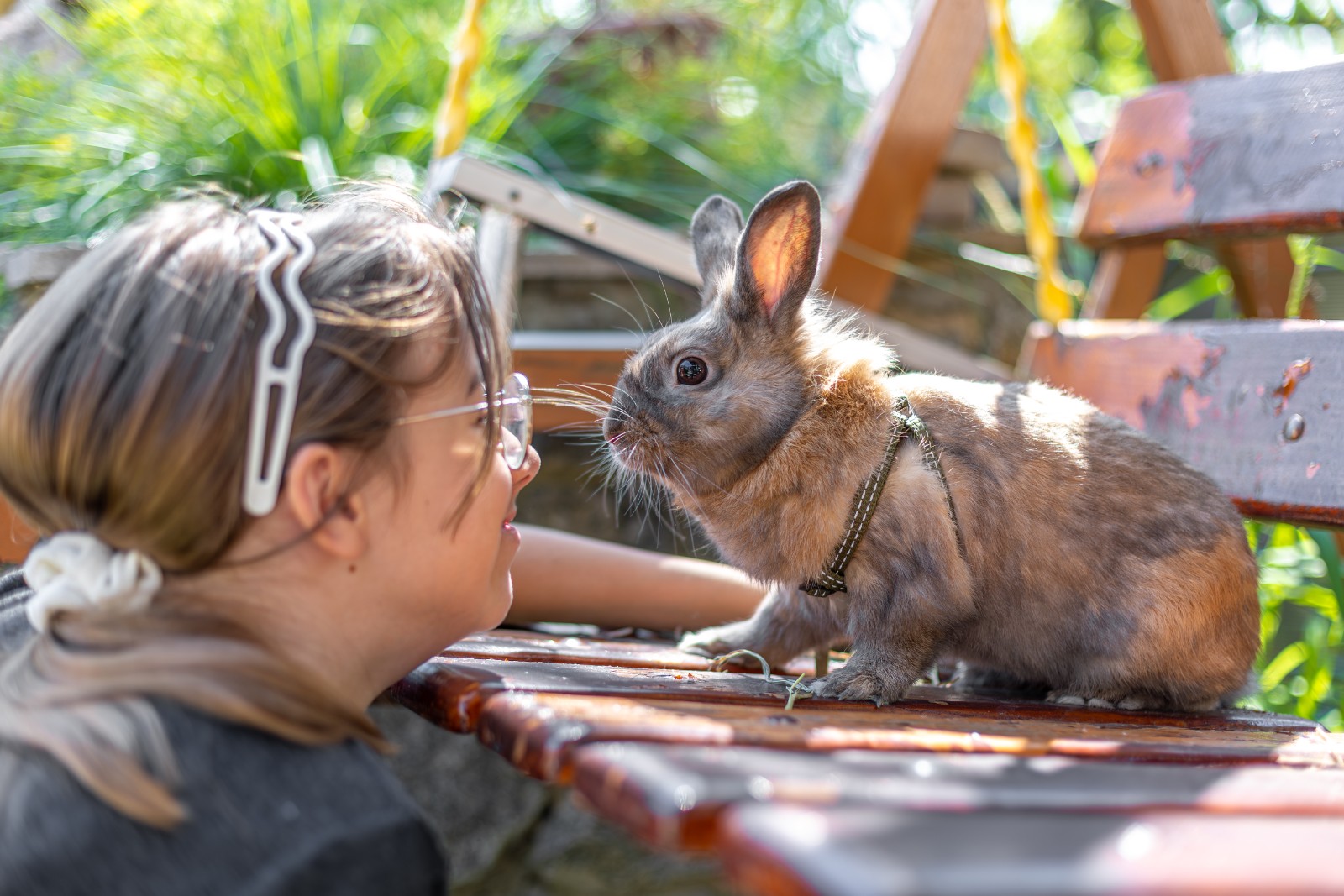 Animal Club block mentored by St Stephens Neighbourhood Centre