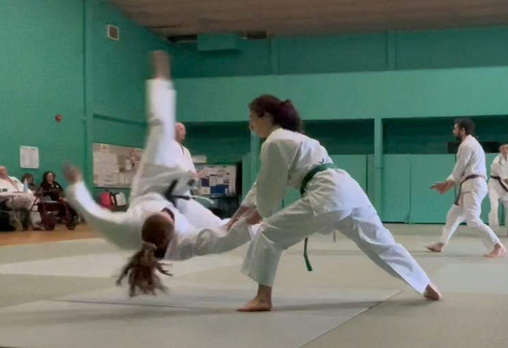 Milton Keynes Aikido Club (EHCP+)   ✨ - image 20