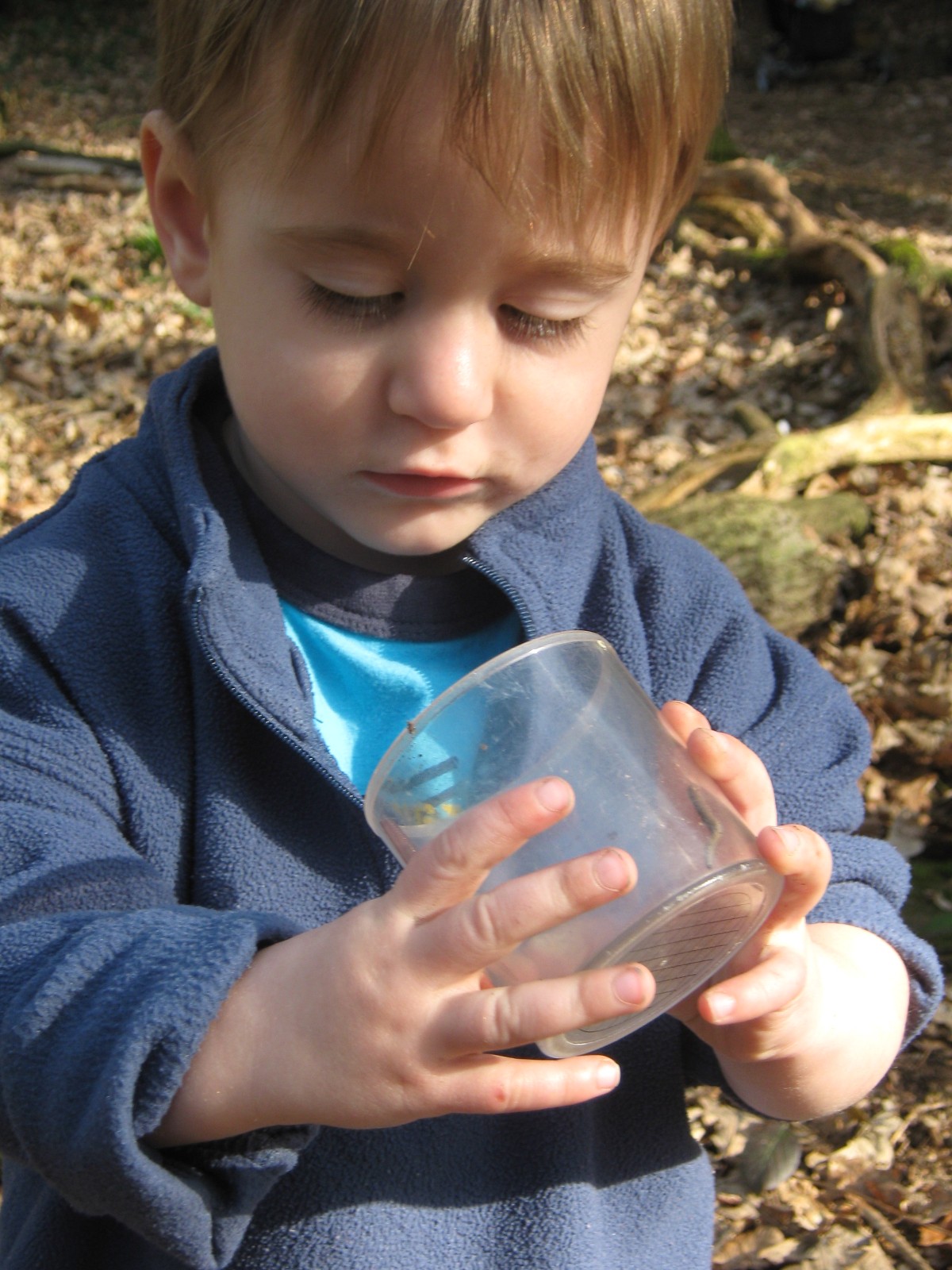 Mini Wilderness Explorers - image 9