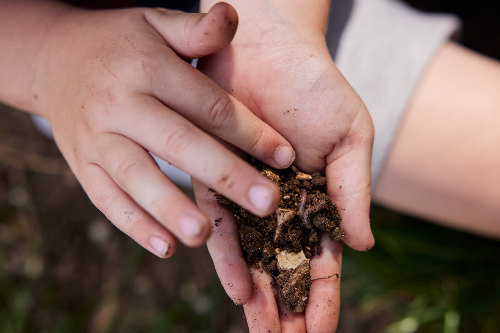 Acorn Hollow - Saplings - Nature Art Sessions - image 9