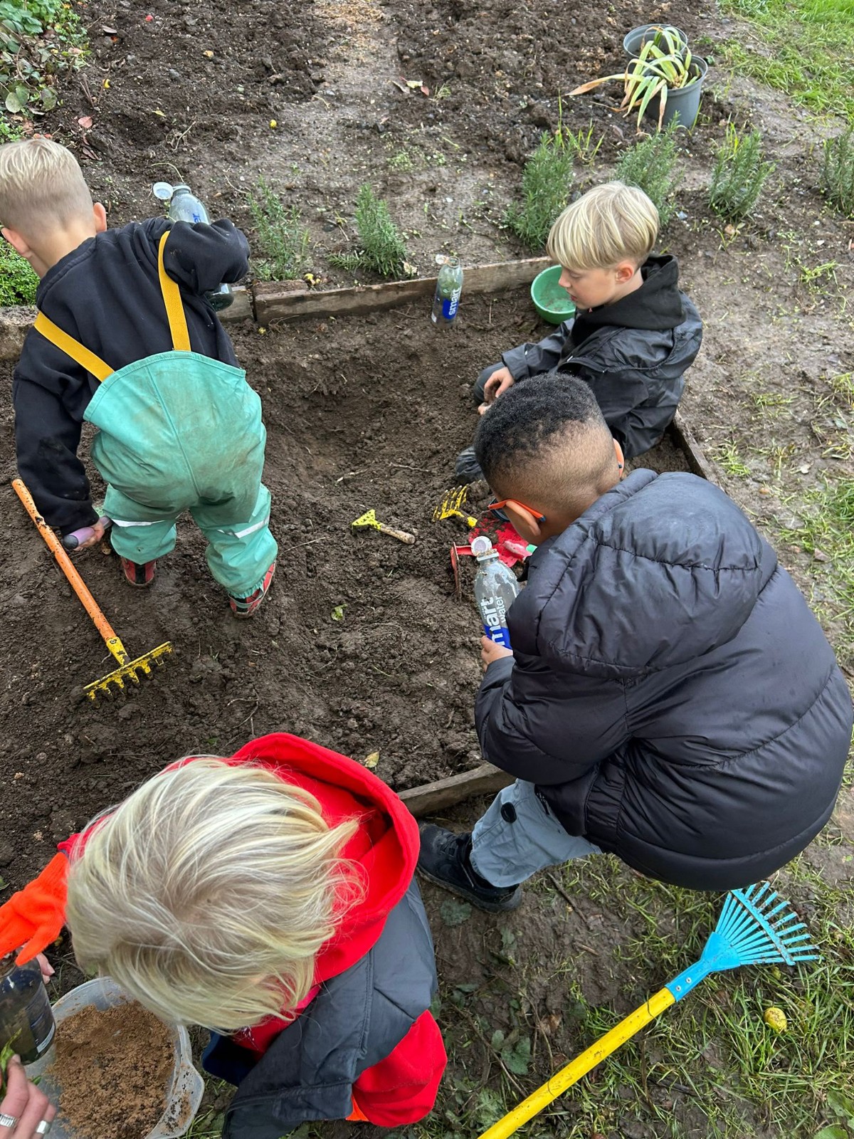 Trust Links Forest School Shoebury Summer 2026 - image 4
