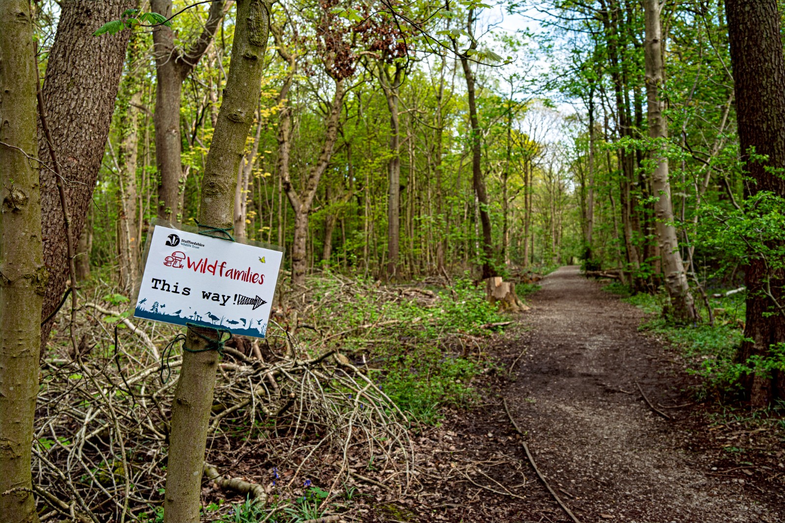 Wildlife Trust Family Fun Day block mentored by Staffordshire Wildlife Trust