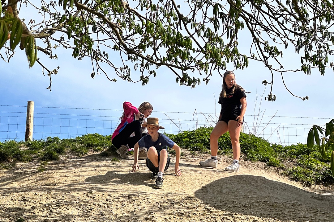 Forest, Drama and Conservation Workshops - image 3