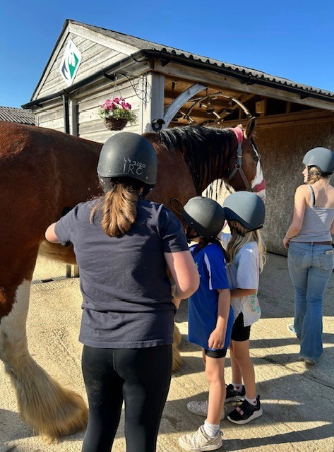 Wight Horse CIC HAF Equine Activities - image 6