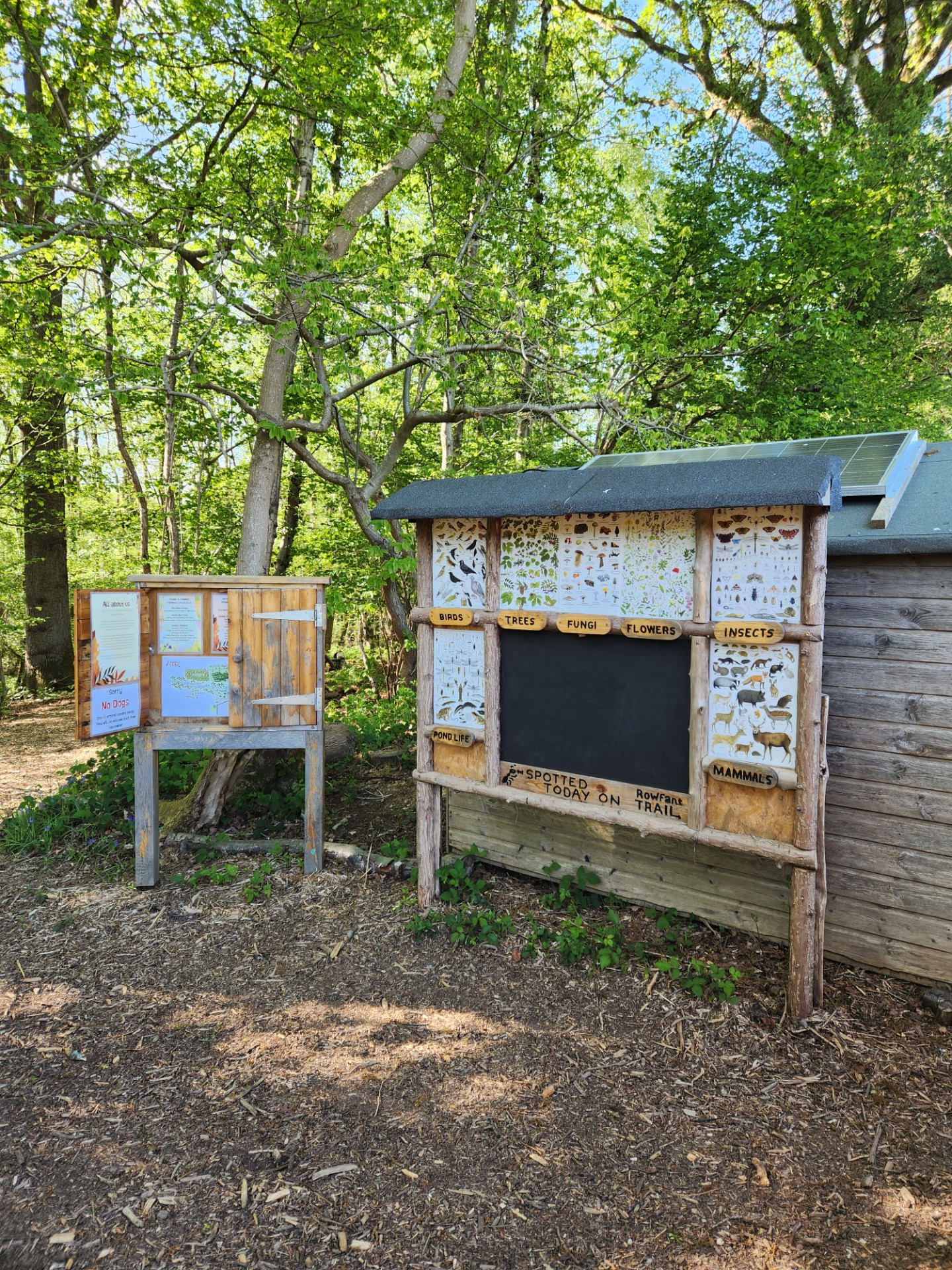 Half Term at Rowfant - image 7