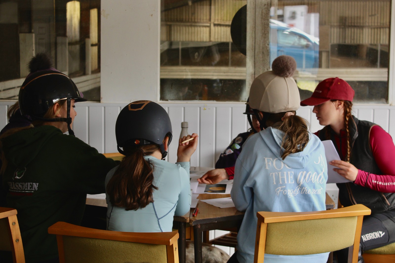 Equine Wellbeing & Activity -Harness Change - image 2