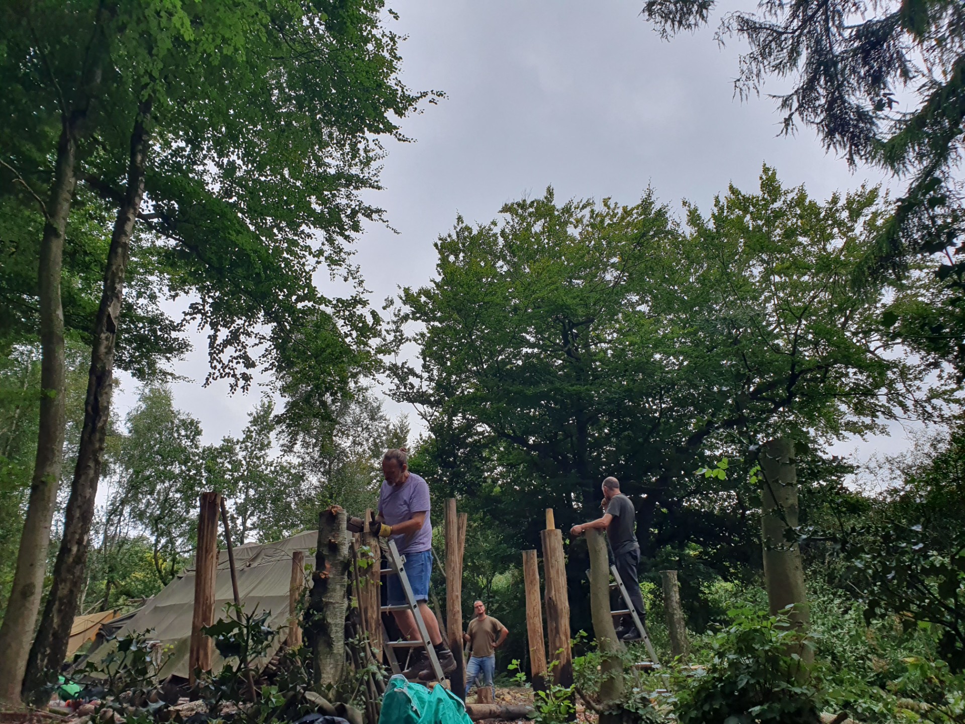 Autumn Equinox Volunteer Action Camp - image 2