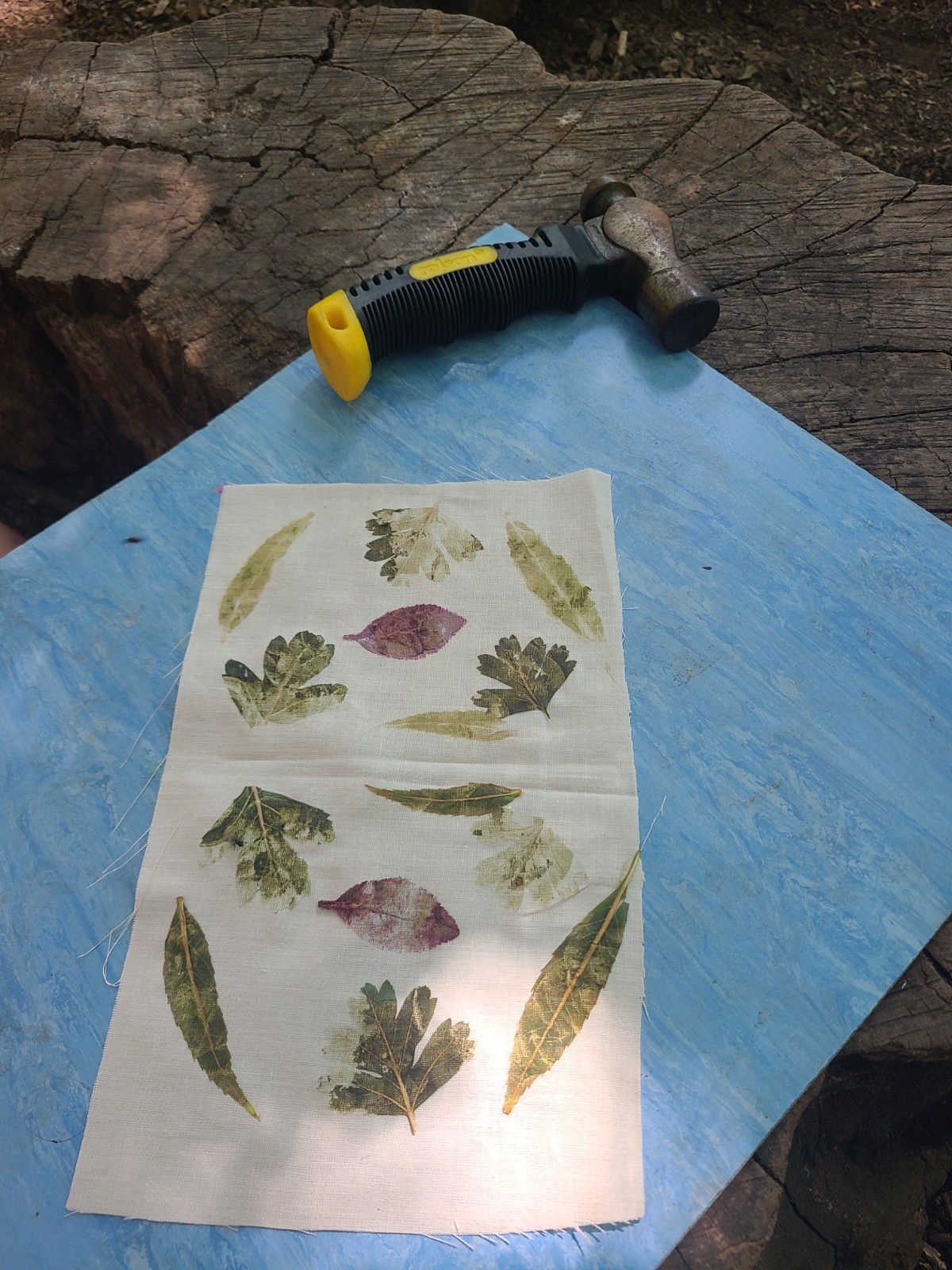 Summer Forest Adventures & Wild Skills Day Out - image 2