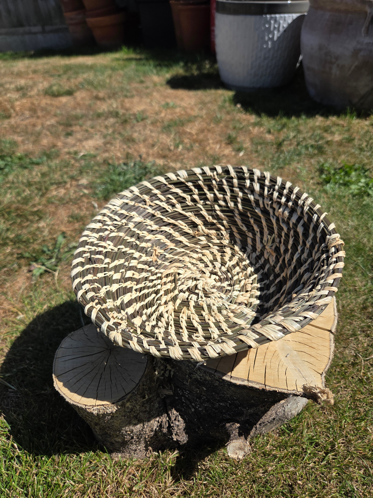 Coil pots exploring natural materials - image 2