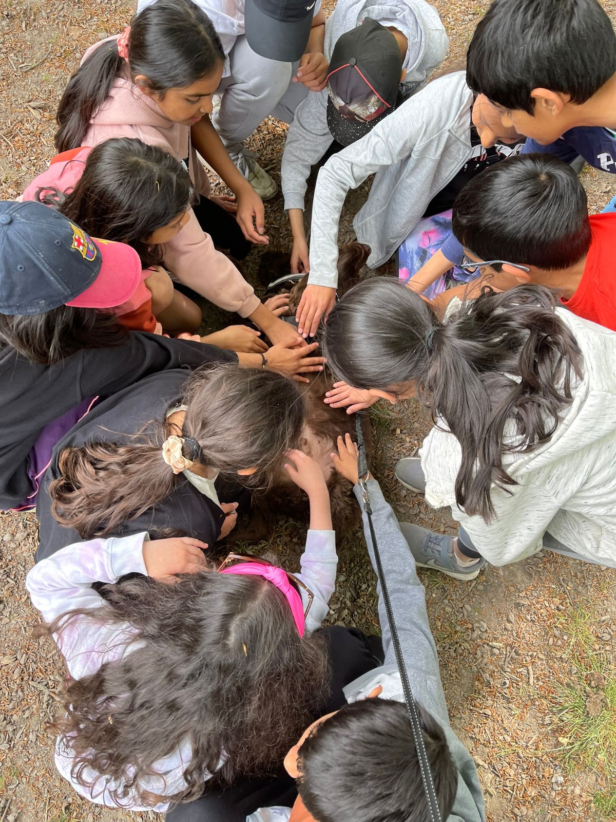 Burwell House Summer Holiday Club - image 5