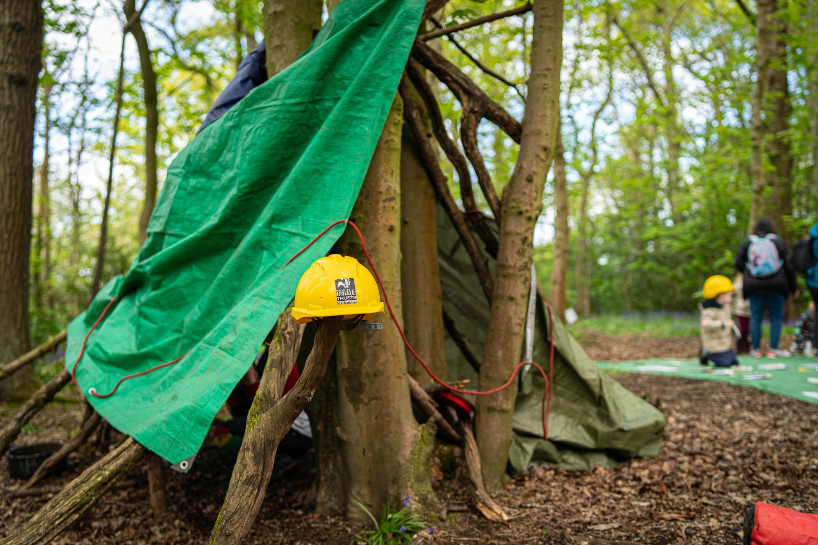Wildplay at Biddulph Grange Country Park - image 3
