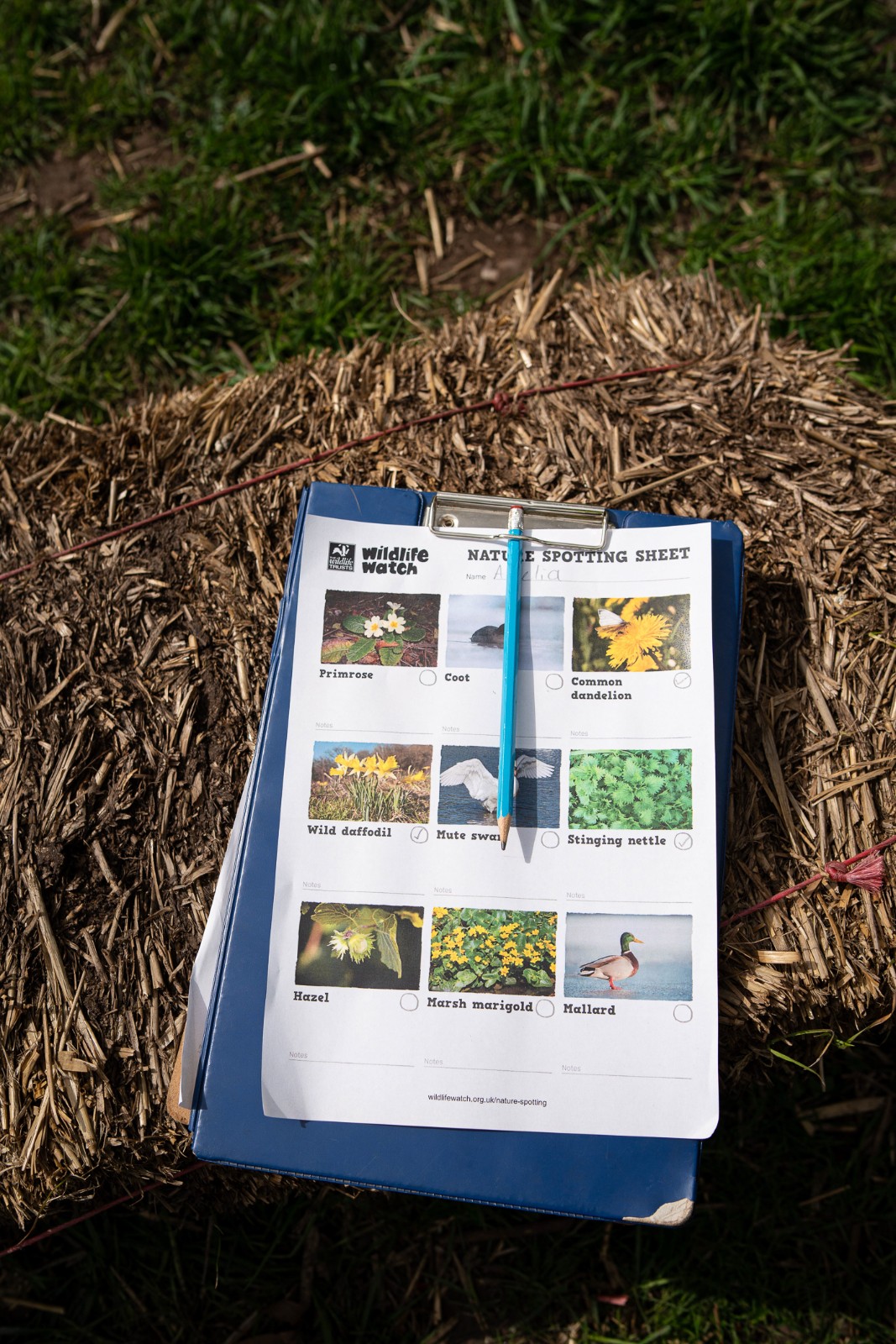 Staffs Wildlife Easter Wildfamilies, Biddulph - image 3