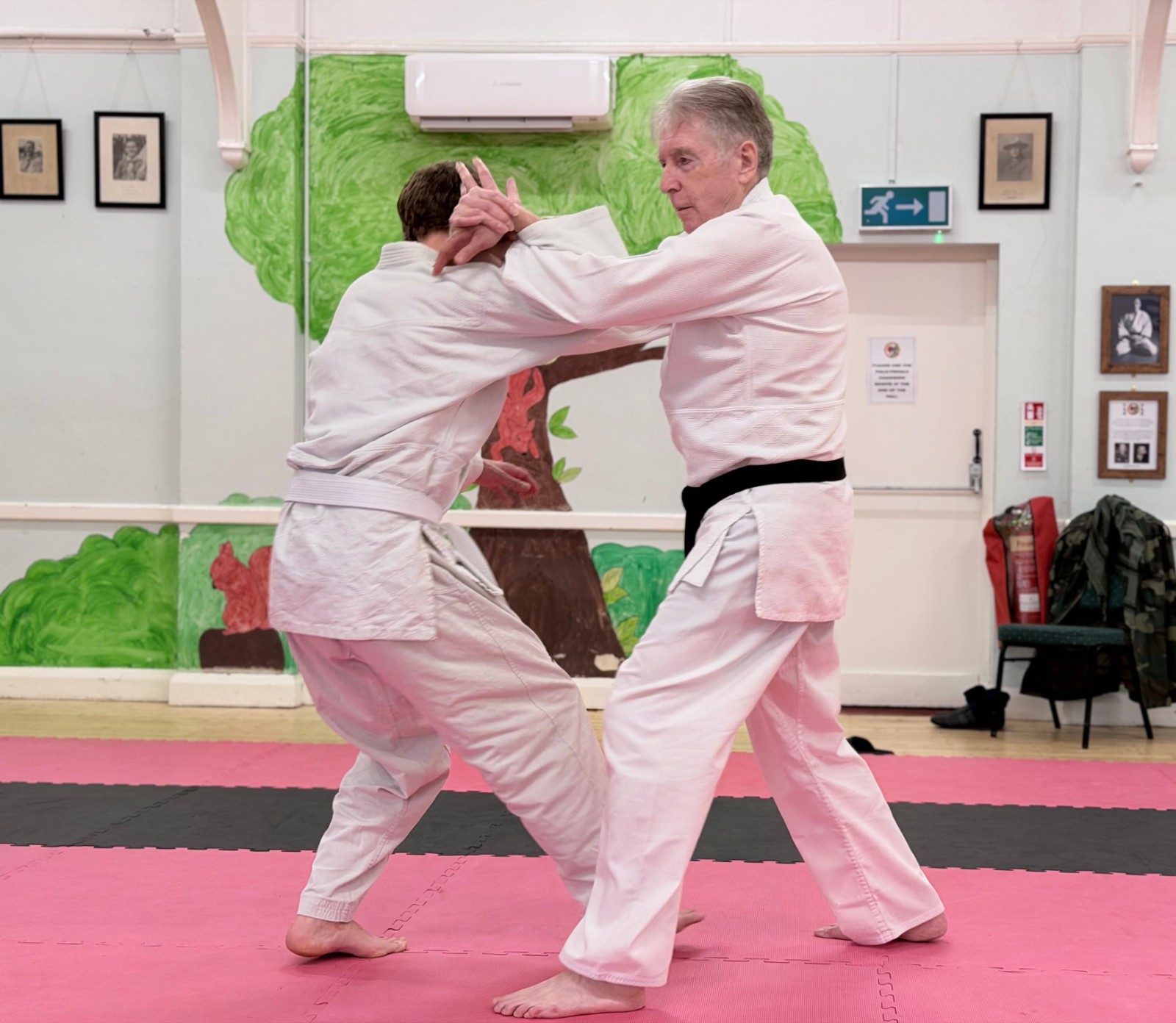 Milton Keynes Aikido Club (EHCP+)   ✨ - image 17