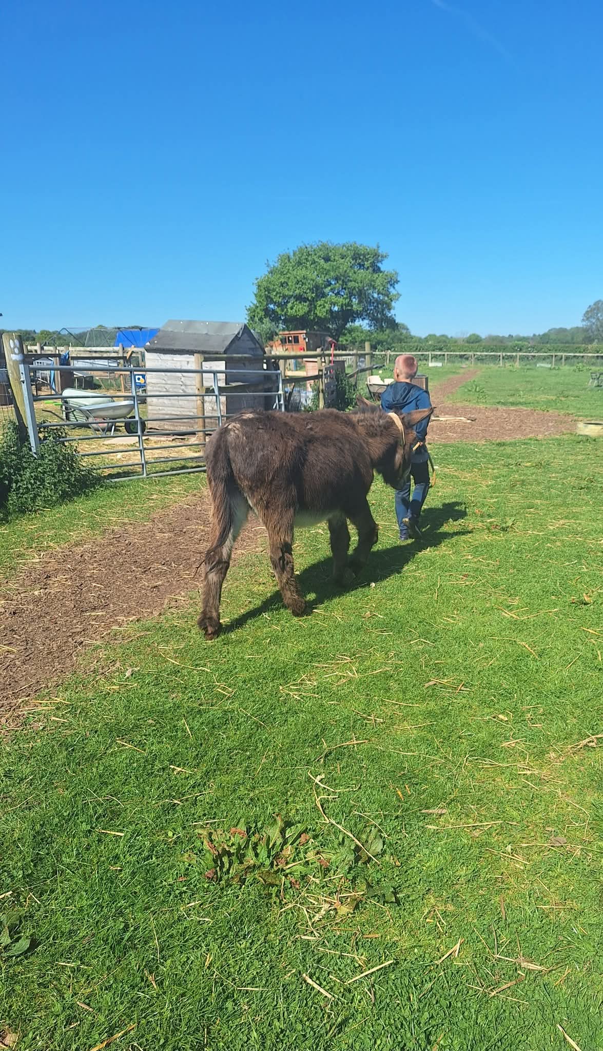 Aiming High SEND Holiday Wellies Club - image 6