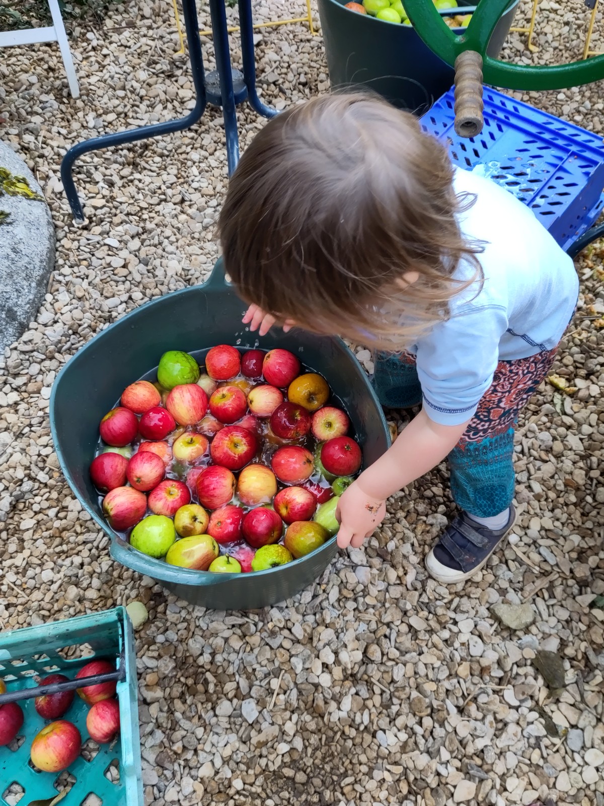 Ledbury Summer Fun! - image 3