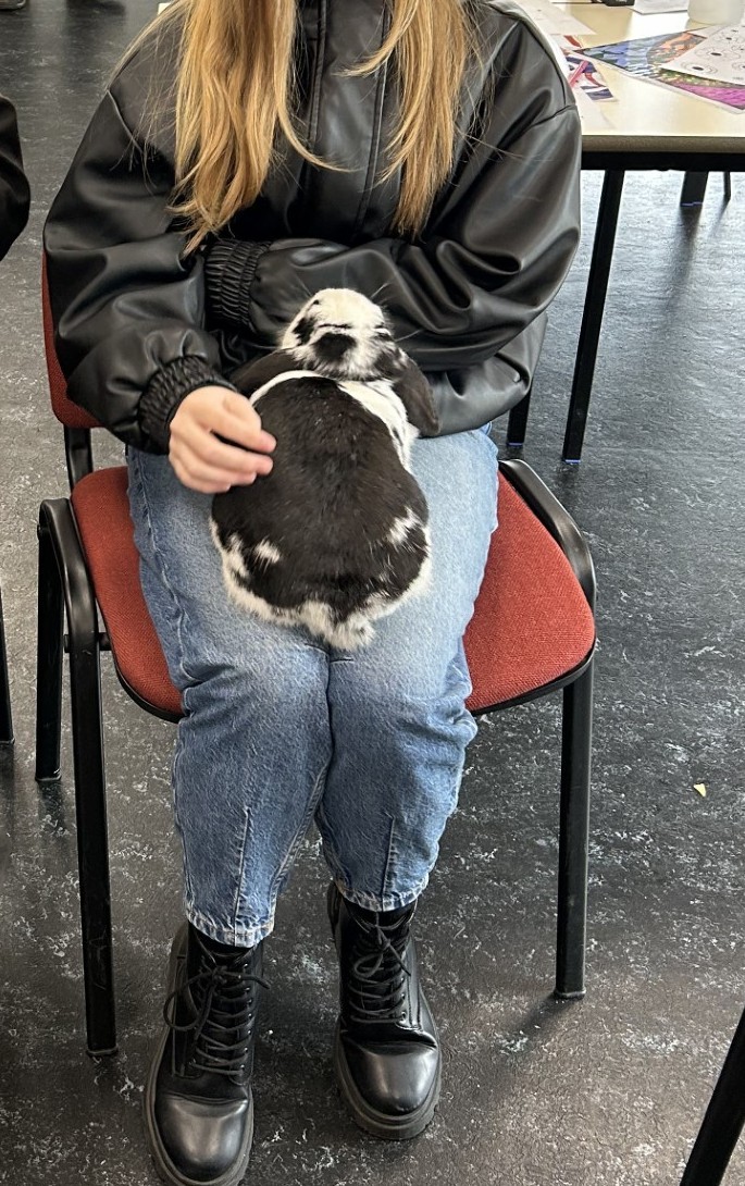 Doodle Art & Crafts - image 3