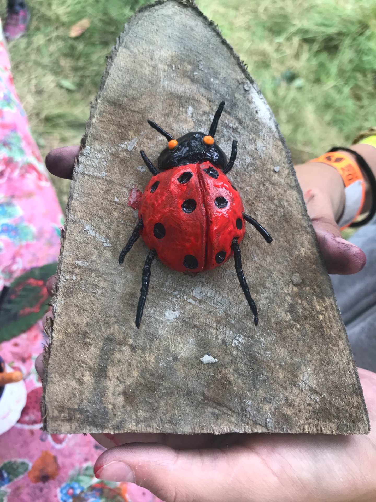 Bug Hunting & sculptures Family workshop - image 5