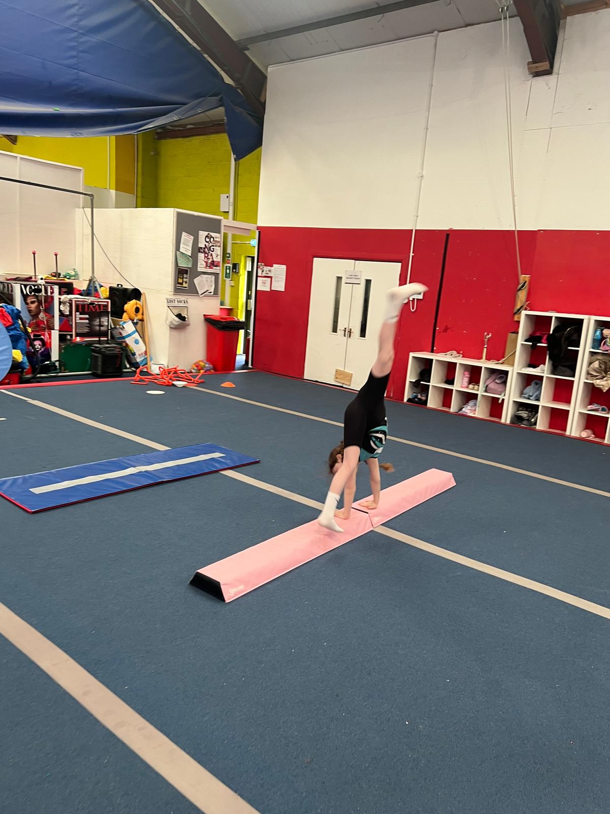 Gymnastics Camp - image 6