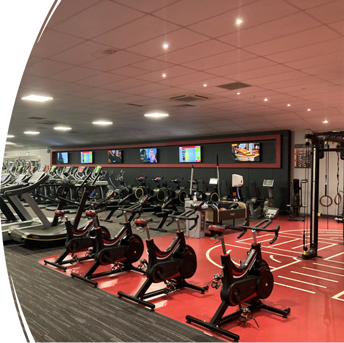 HAF GYM Induction and Swim - image 2