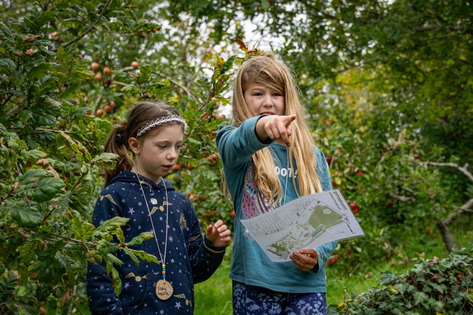 Minstead Study Centre Summer Activities - image 3
