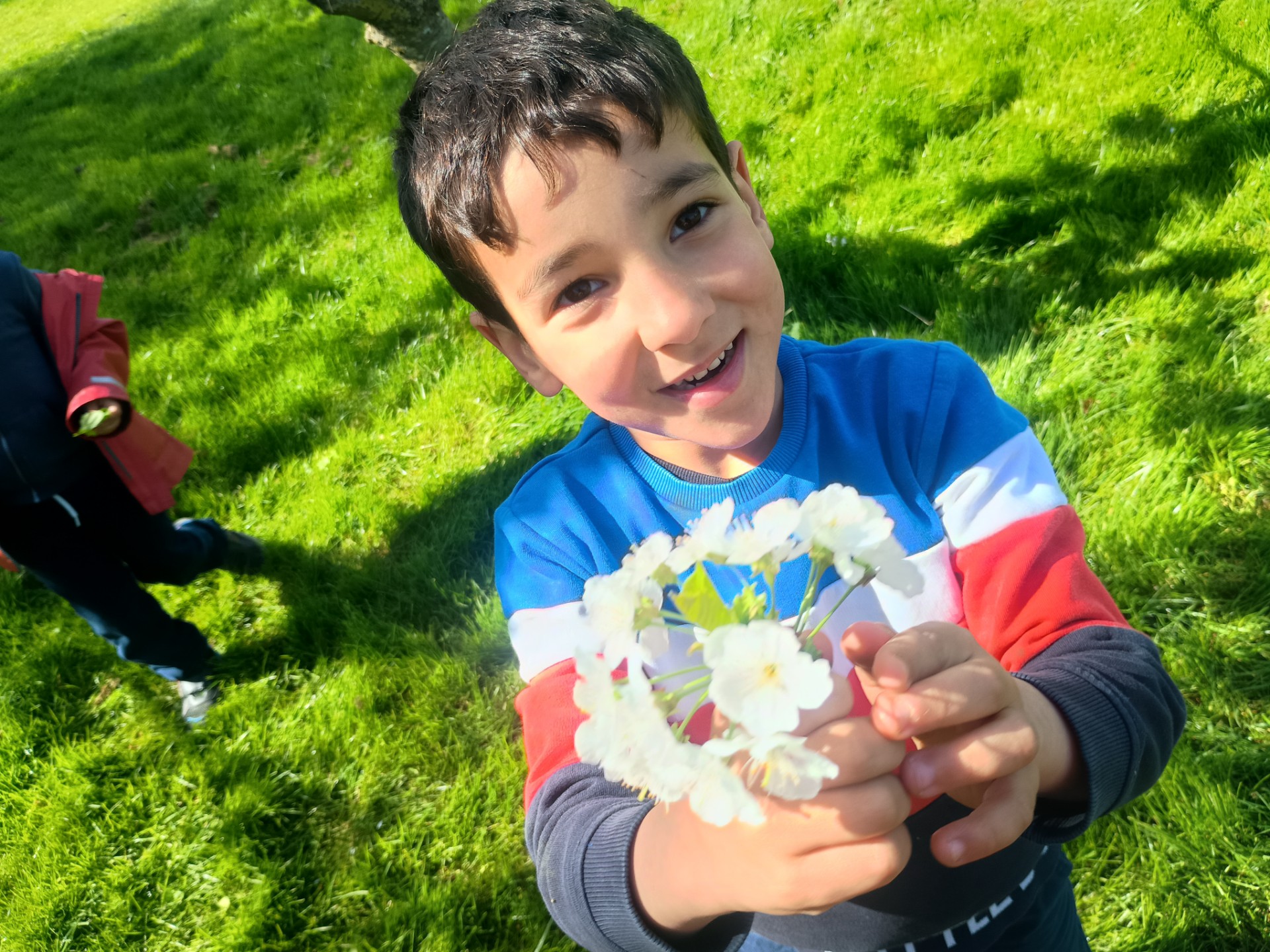 LOPC - HAF Club - Under 8s - image 6