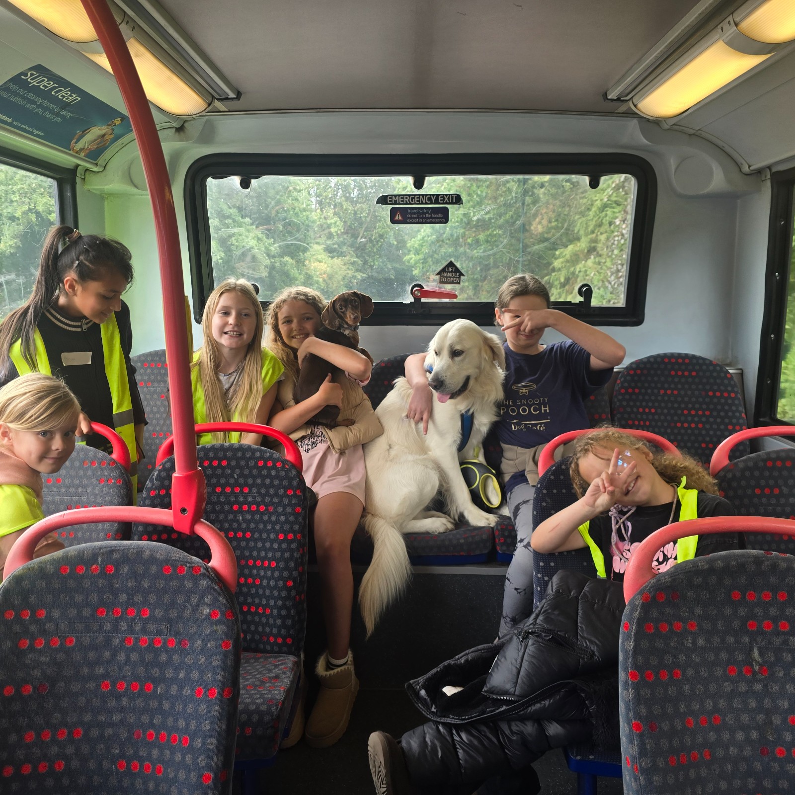 The Dog Squad Summer (HAF) - image 2
