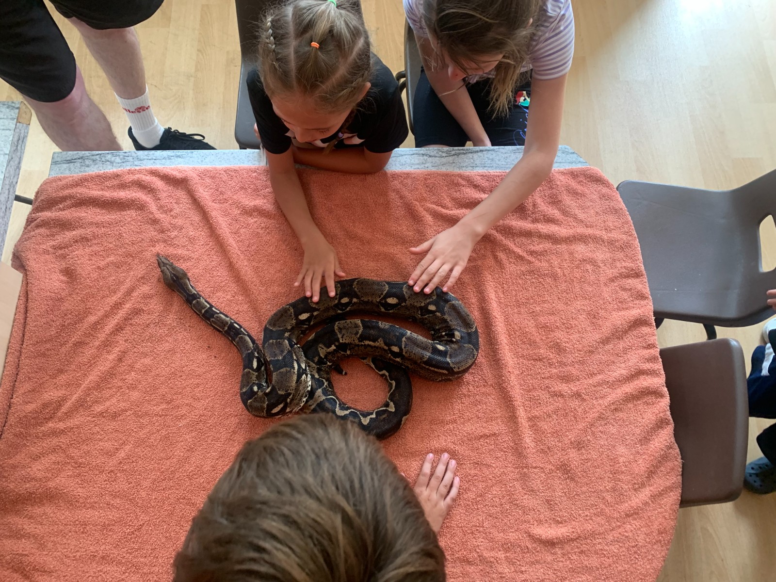 Fossebrook (LFE) HAF Discovery Holiday Camp - image 3