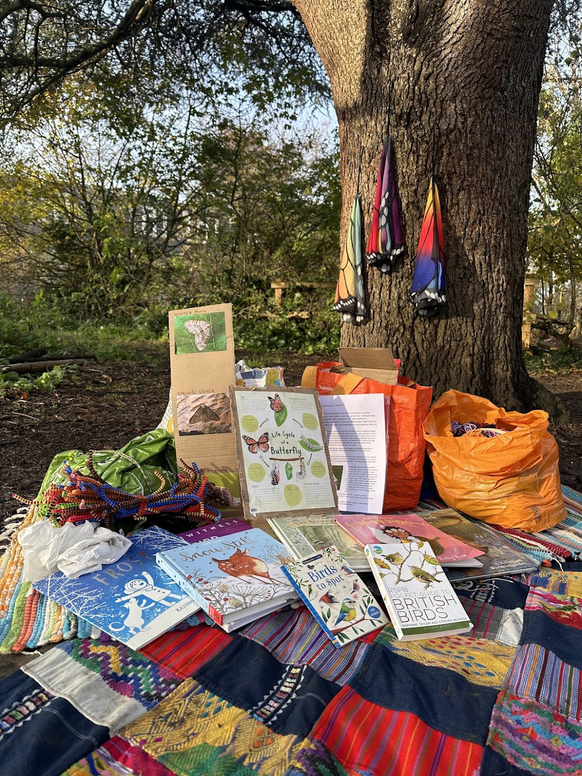 Stay & Play - image 2