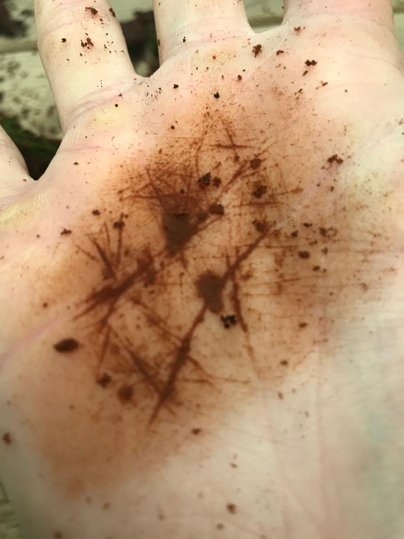 Portfolio Showcase Of November 2024 - image 3