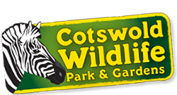 Tickford Family Centre Cotswold WIldlife Park - image 2