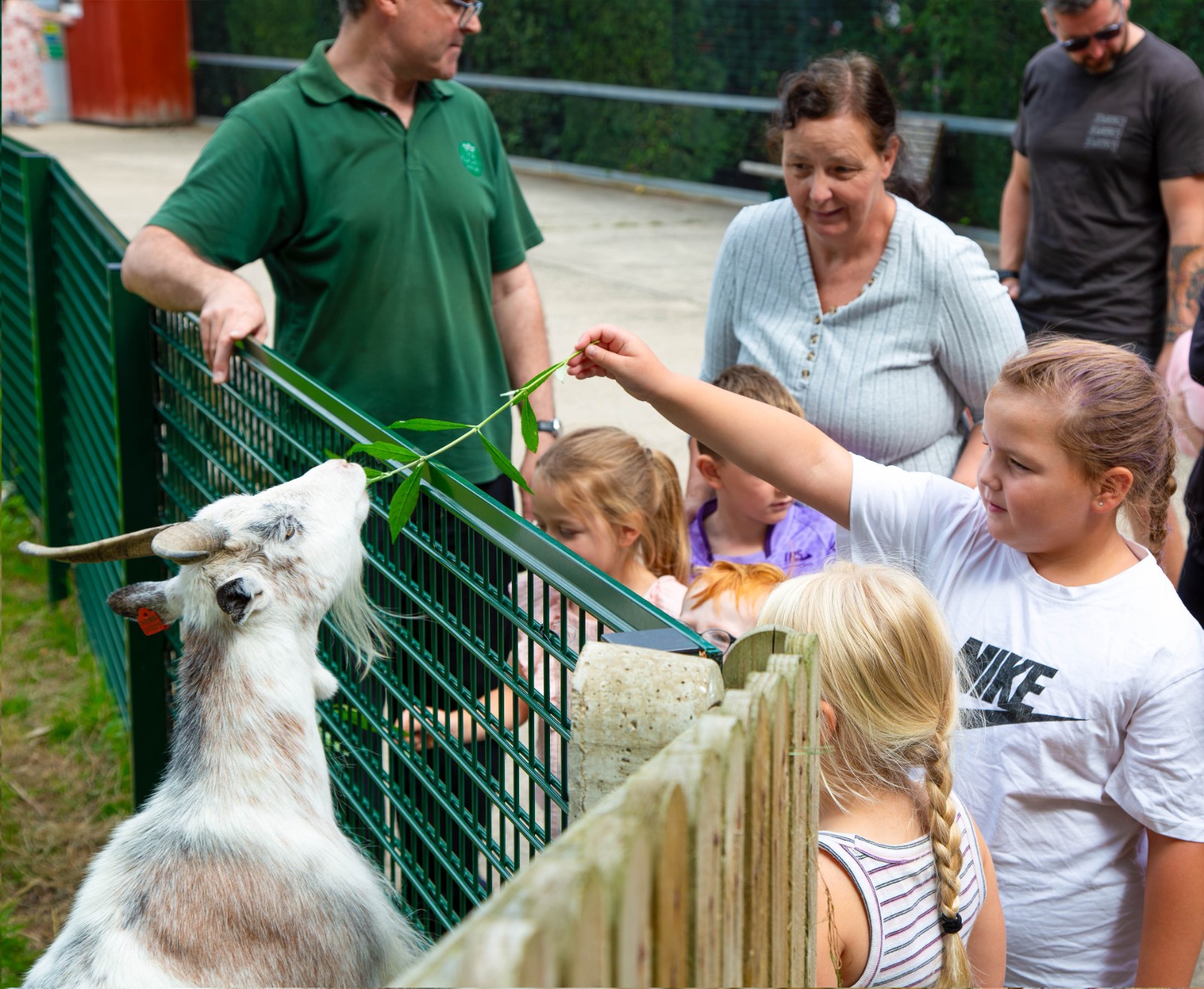 Zoo Crafts - Animal Education Centre block mentored by Live It Hull