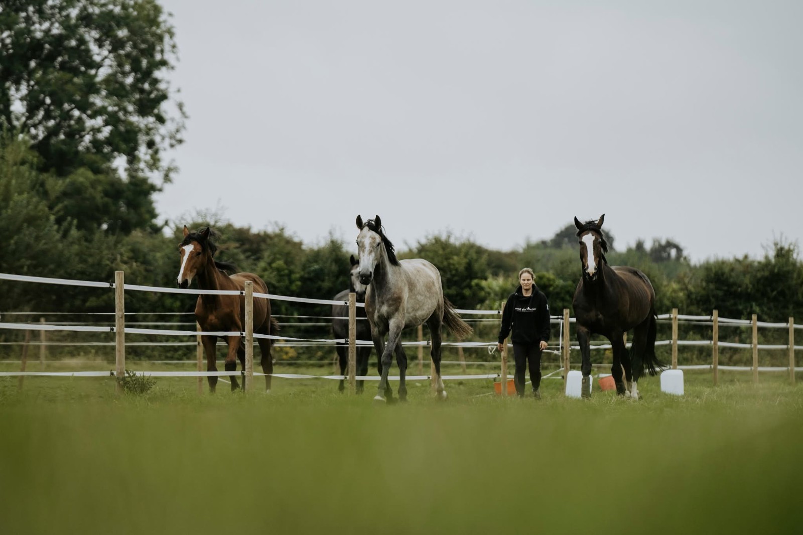 Avalon Mill Equestrian block mentored by Avalon Mill Equestrian