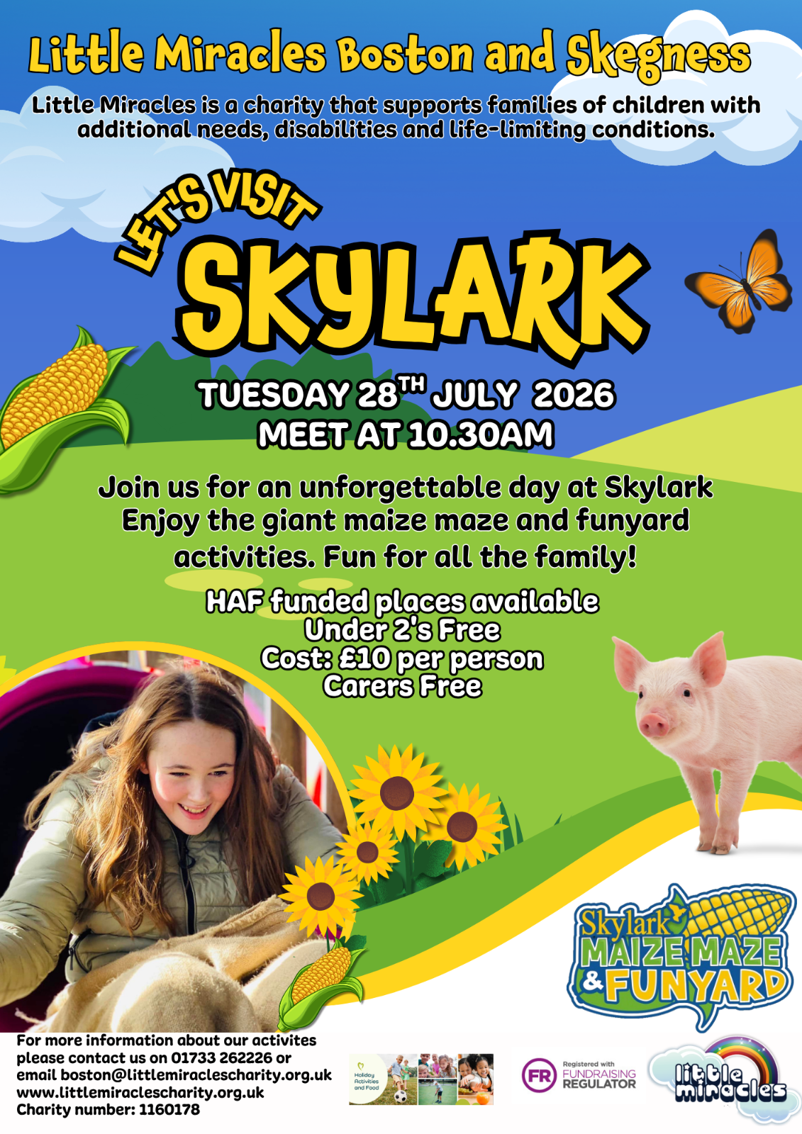 SEND Sky lark Maize maze and fun yard - image 2