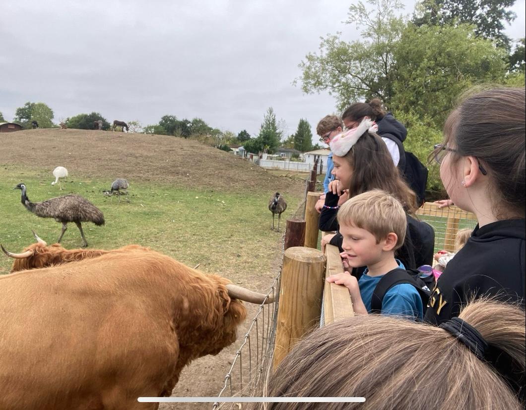 (HAF) Holiday Play Activities - Welland - image 2