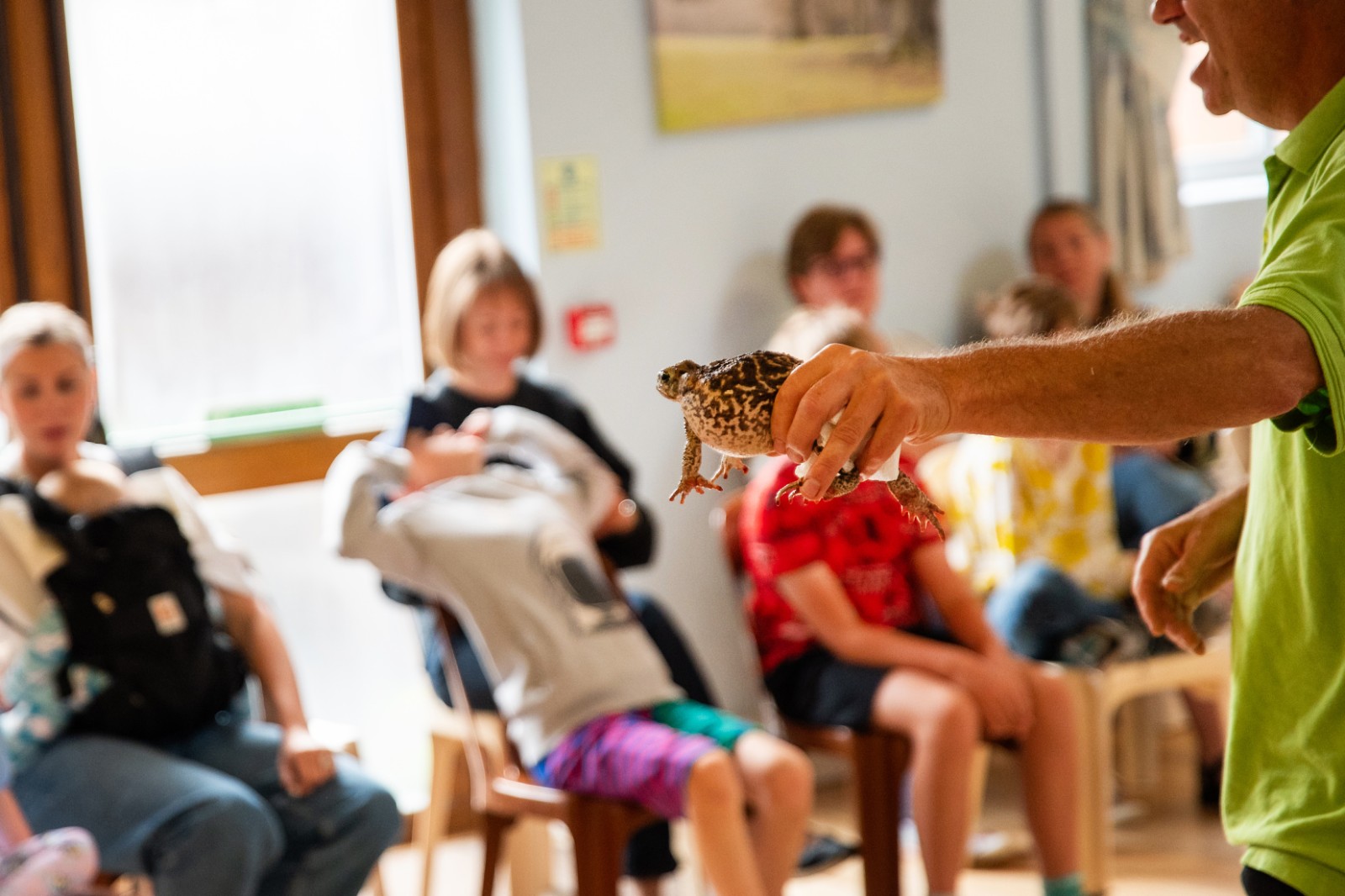 Animazing at Dorking Christian Centre - image 3
