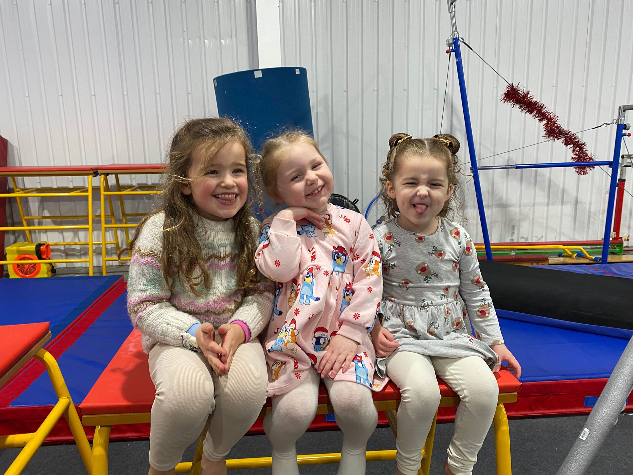 React Trampoline & Gymnastics Club - image 6