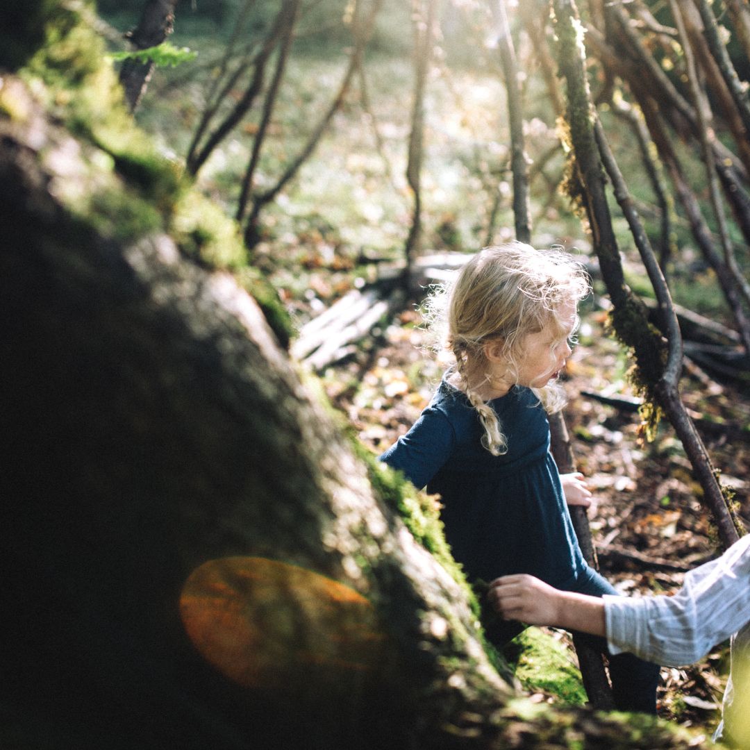 Forest School Parent and Toddler - Under 5's - image 5