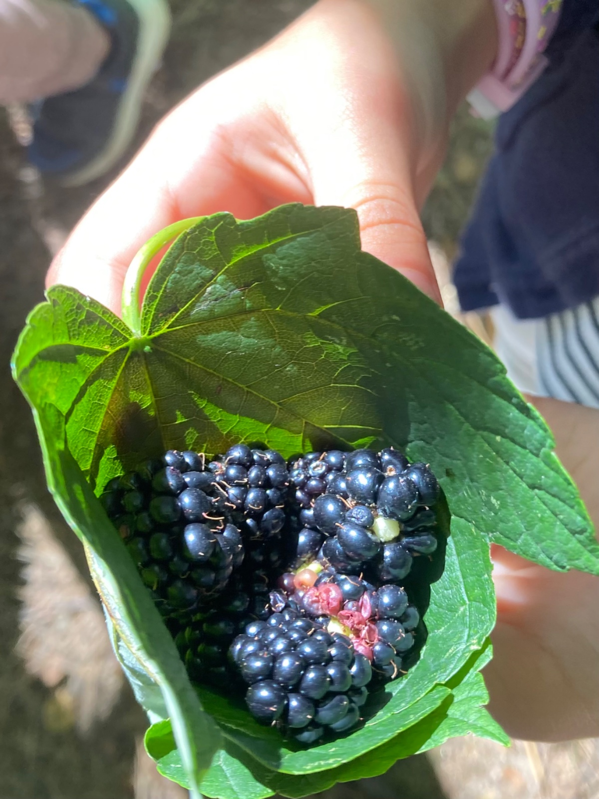 May Taster Session - image 3