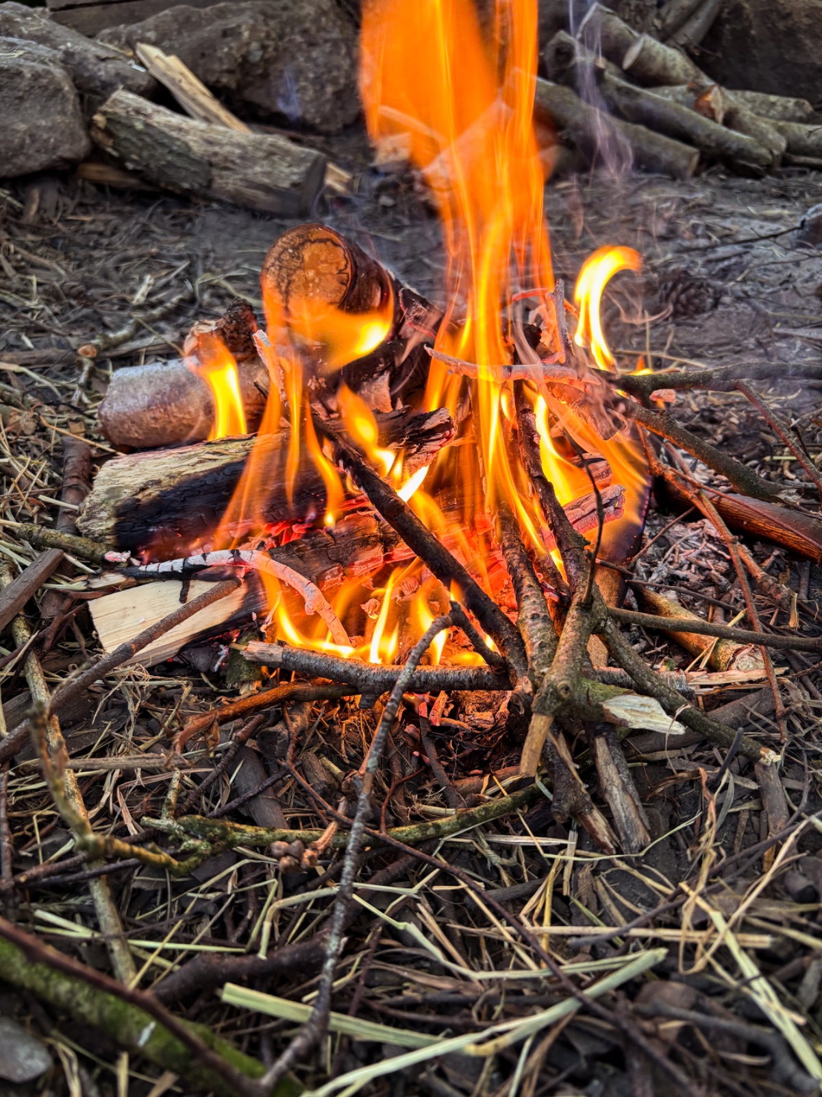 Target Sport and Bushcraft Activity Day - image 3