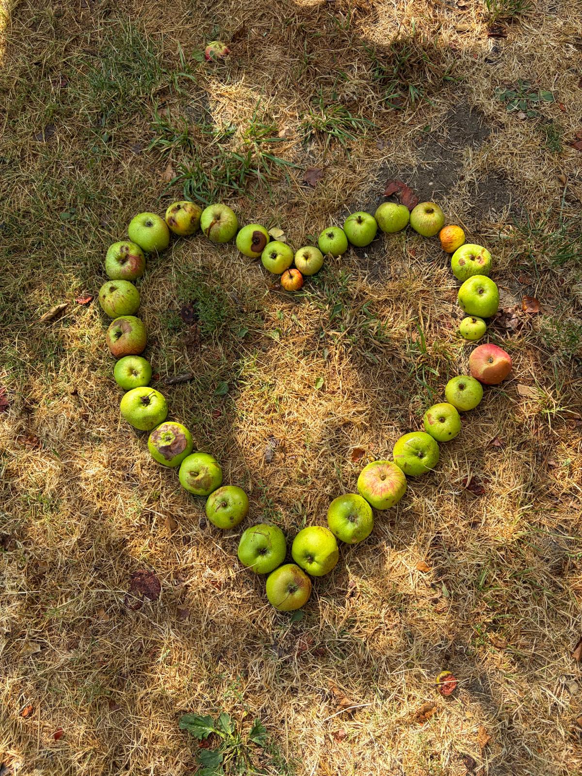 Trust Links Forest School Club HAF 2026 - image 6