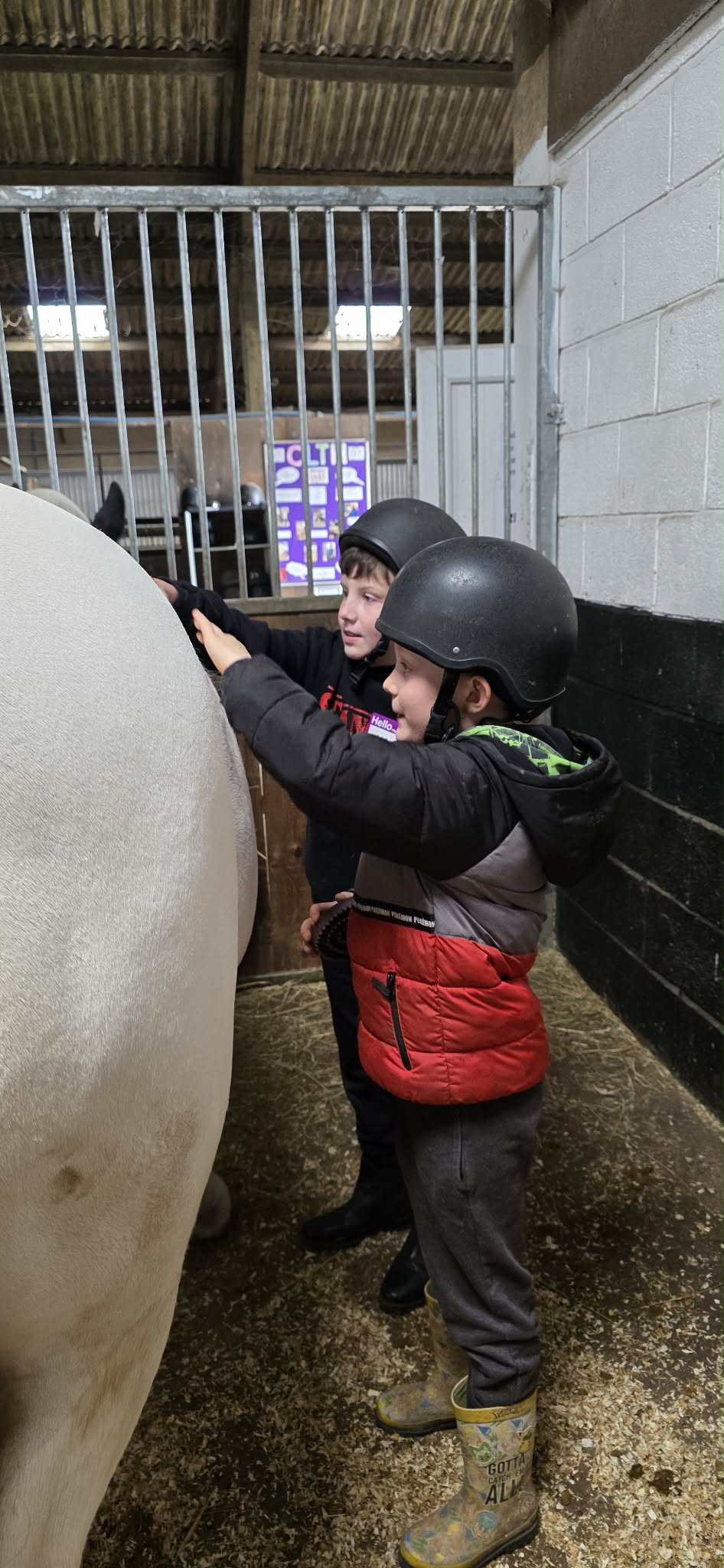 Secondary Horse & Pony Experience @HowdenEques - image 7