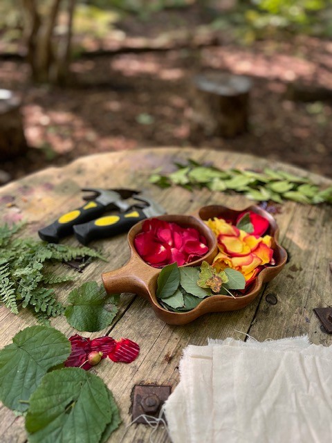 RE:Wild – Forest School Club for SEND Children - image 5