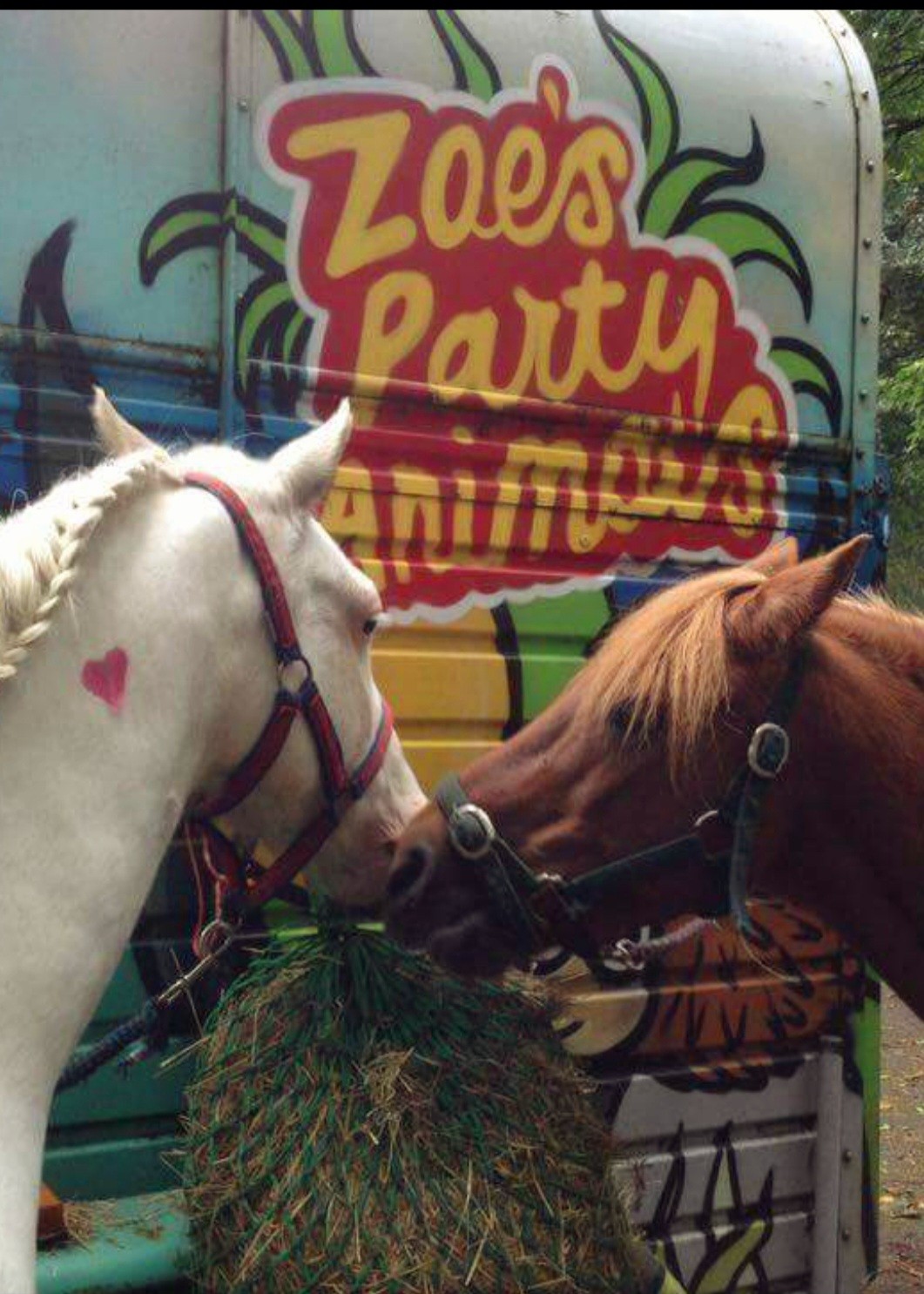 Picnic with the Ponies - image 11
