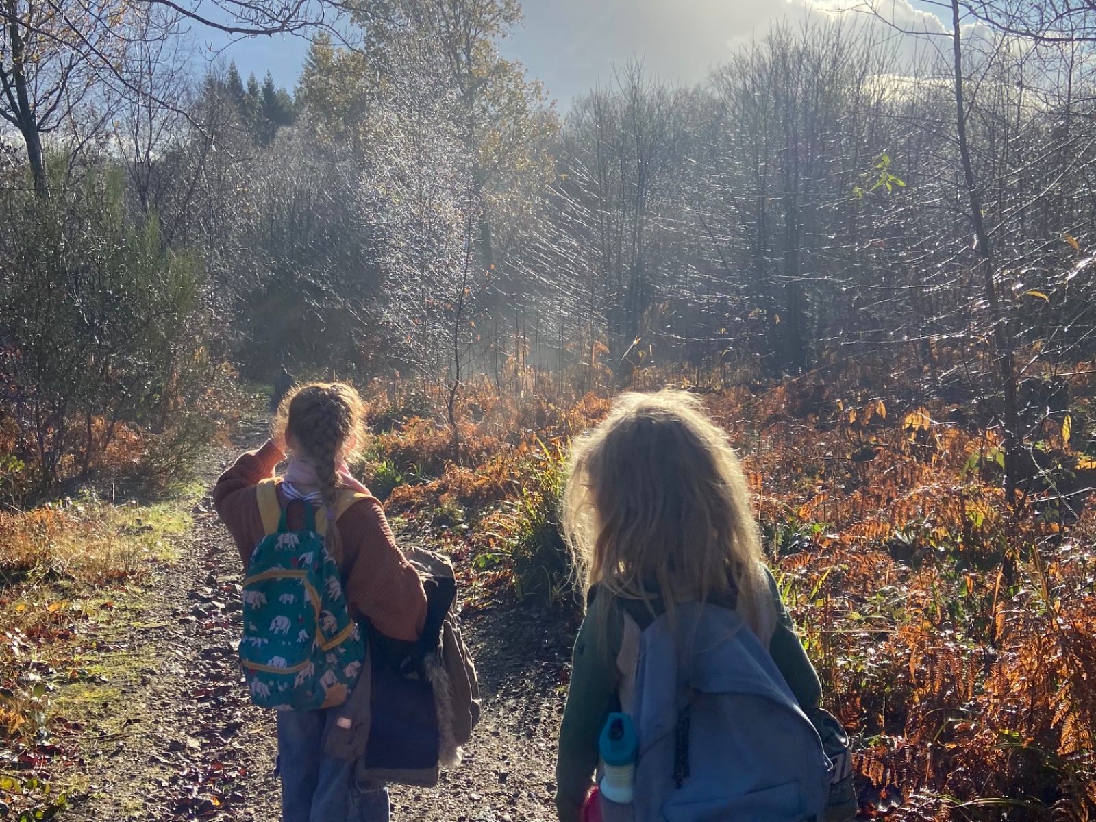 Fortnightly Wednesdays May, June & July - image 2